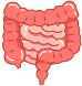 Stomach icon representing care for digestive and gut health.